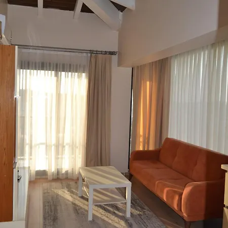 Aymesev Residance Apartment *
